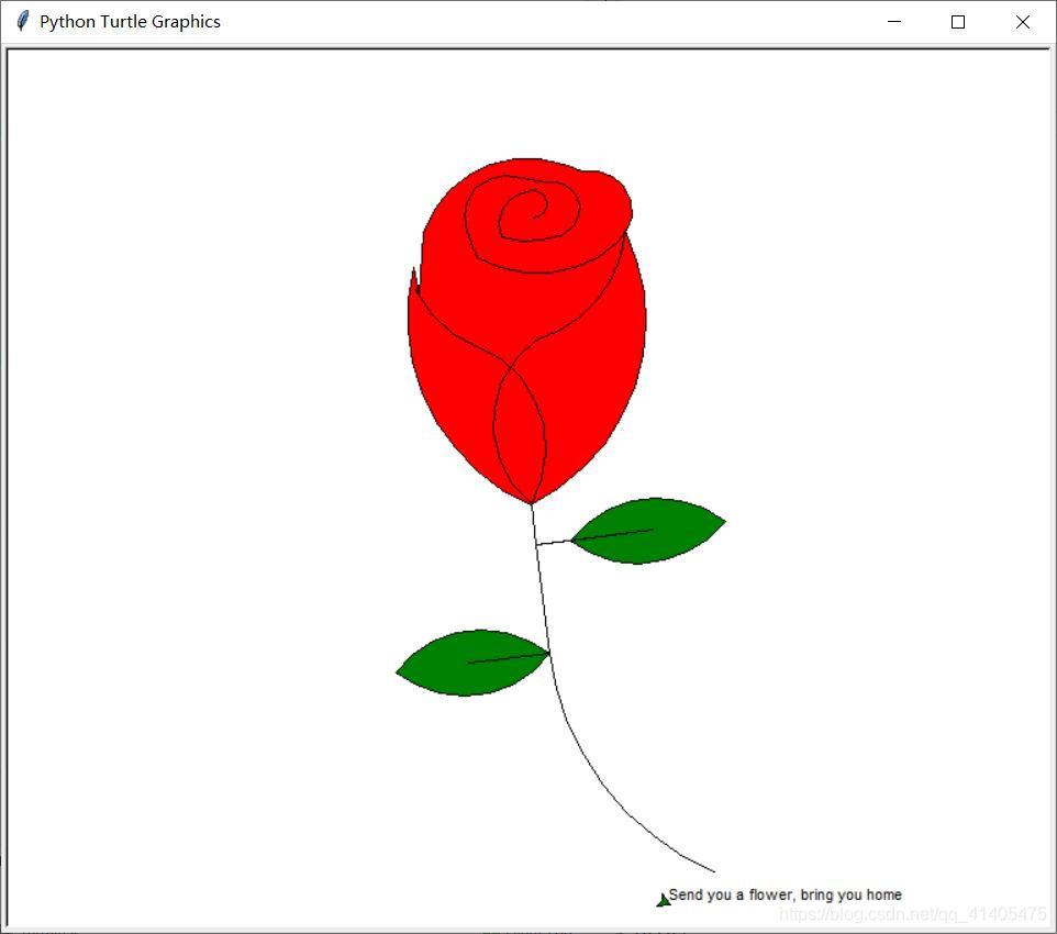 python代码画花朵图片